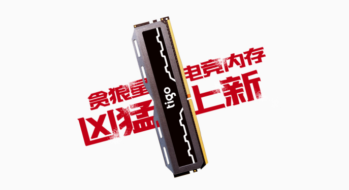 金泰克贪狼星内存凶猛上新